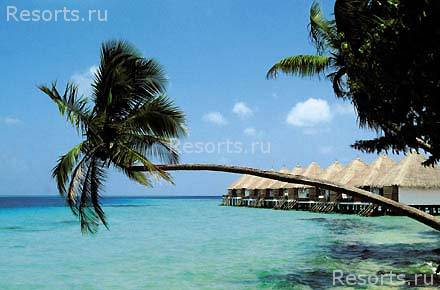 Coco Palm Bodu Hithi 5